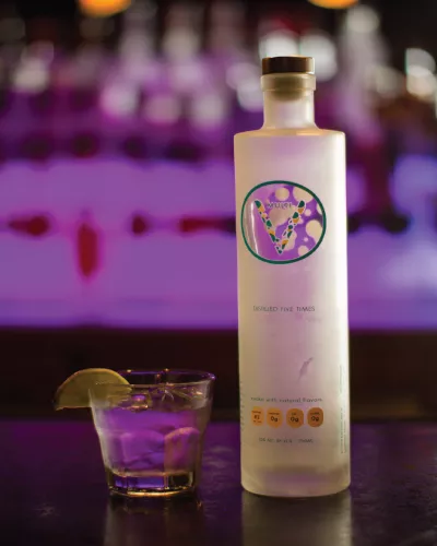 Why VITA-V Works on Modern Cocktail Menus